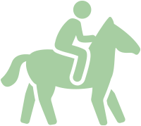 ls equestrian icon