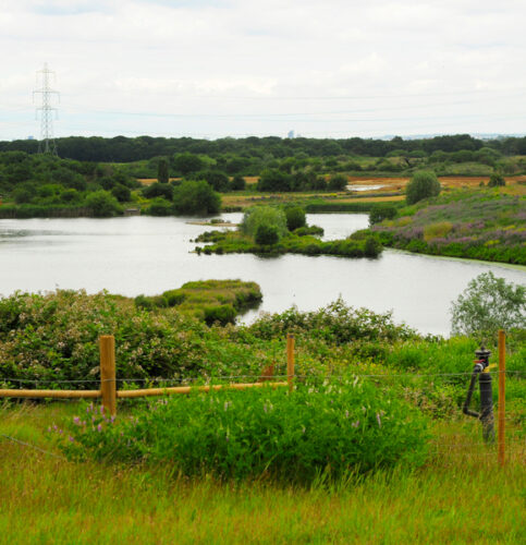 Landfill Restoration featured