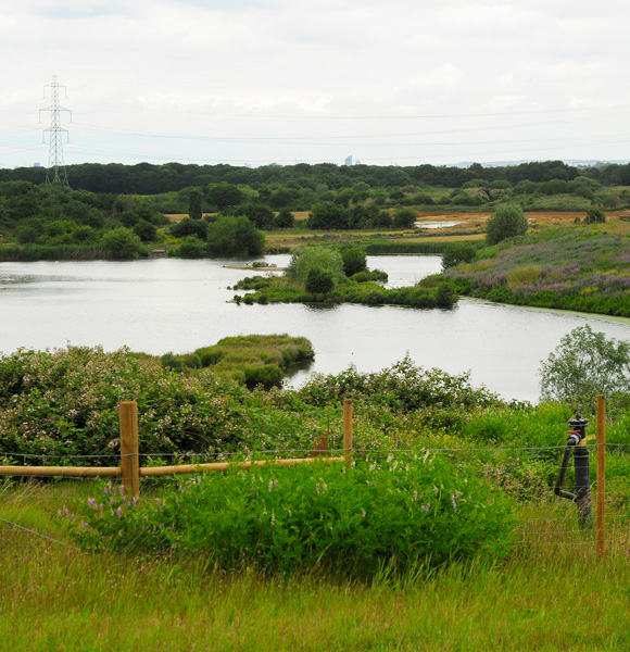 Landfill restoration featured 1 1