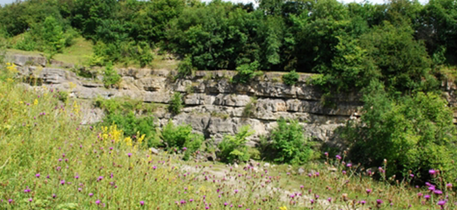 Quarry Restoration Carousel 1