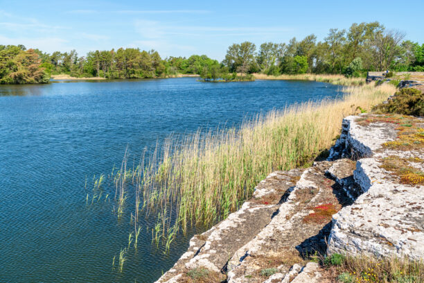 Quarry restoration