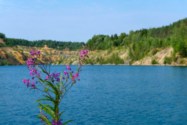 quarry restoration 1