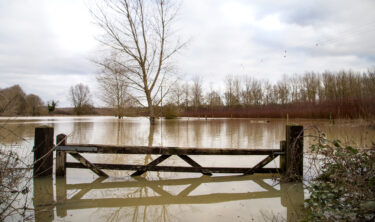 Flooded fields during spring