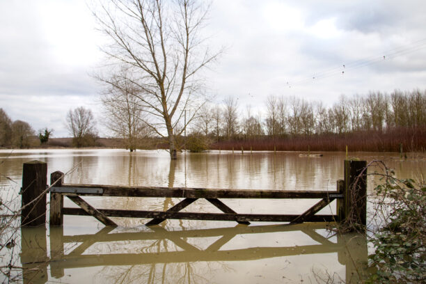 Flooded Farm Land